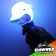 Dolphin Mini Light Up Animal Wand 7" 3